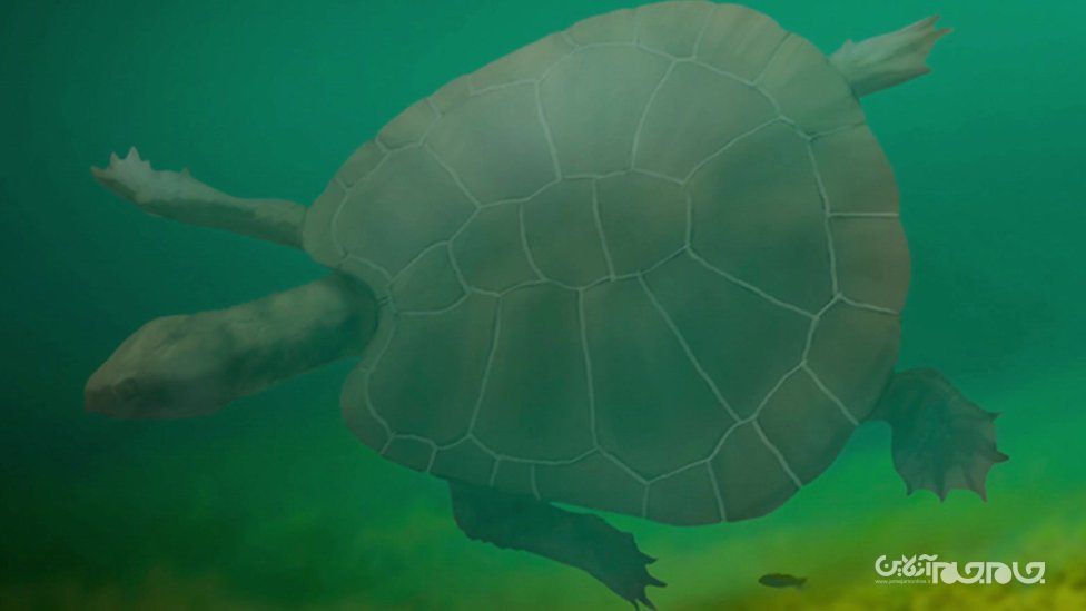 شکسته شدن ۱۰ رکورد علمی در سال ۲۰۲۰+عکس