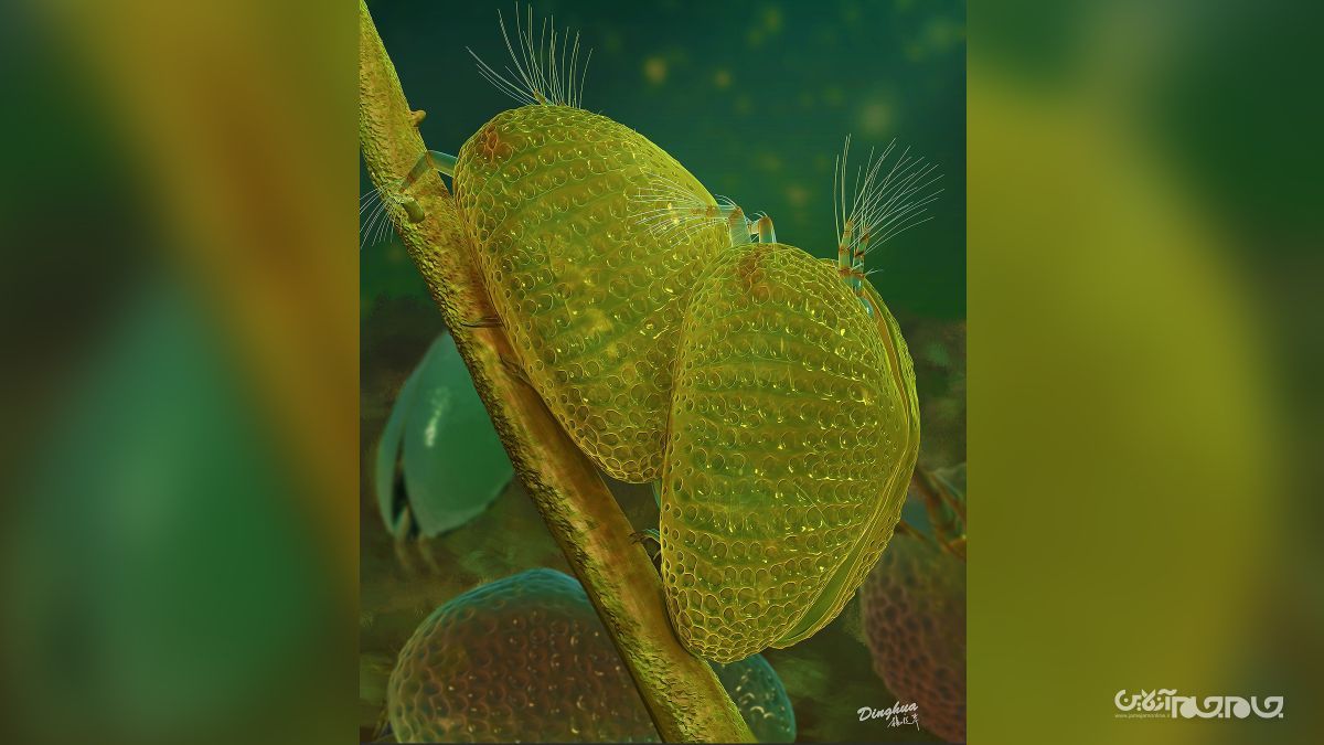 شکسته شدن ۱۰ رکورد علمی در سال ۲۰۲۰+عکس