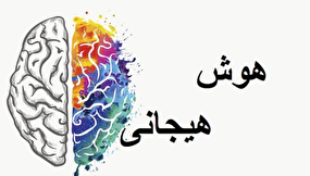 راه رسیدن به موفقیت با کمک هوش هیجانی