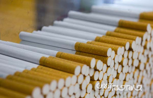 نوشتاری درباره ماهیت، مضرات و آمار مصرف سیگار+عکس