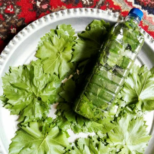 طرز تهیه ترشی برگ مو