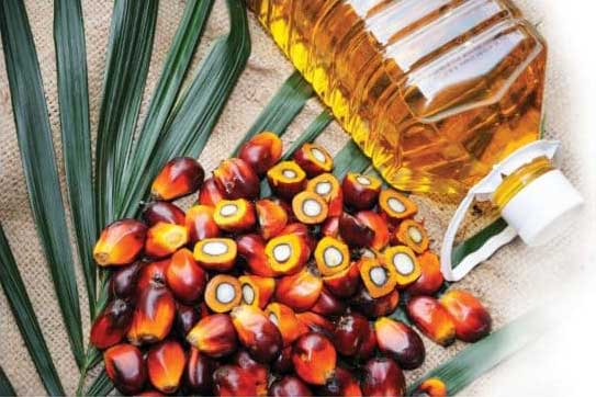 با استفاده از روغن‌های غیراشباع در سرخ کردن غذا ممکن است به بدن آسیب برسانید