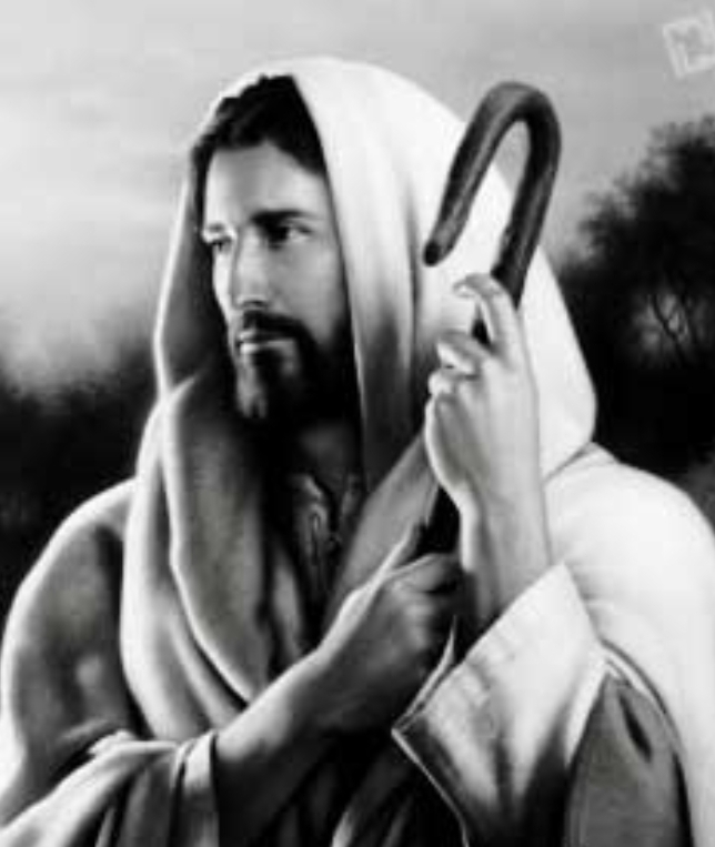 داستان قضاوت حضرت داوود علیه السلام