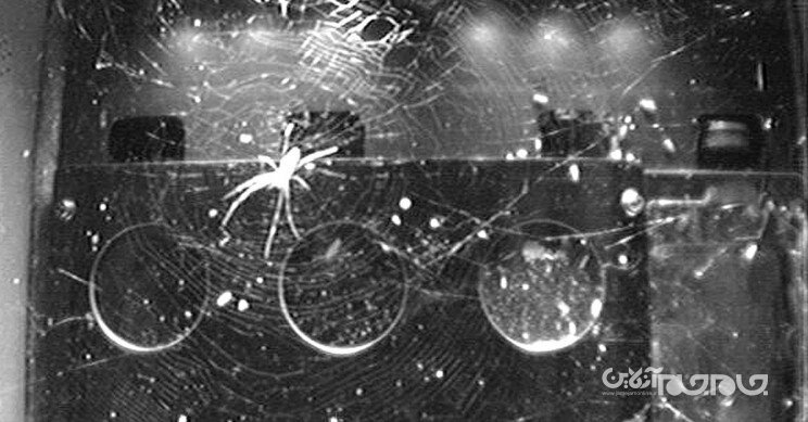 آزمایشات عجیب در فضا+عکس