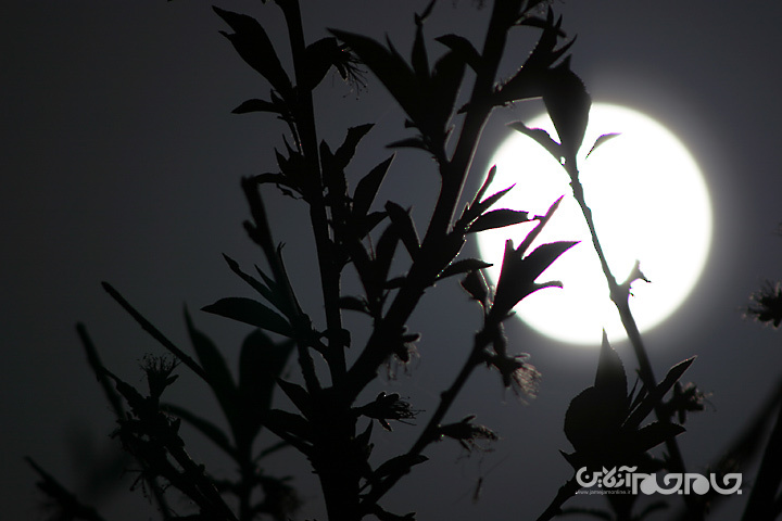 آزمایشات عجیب در فضا+عکس