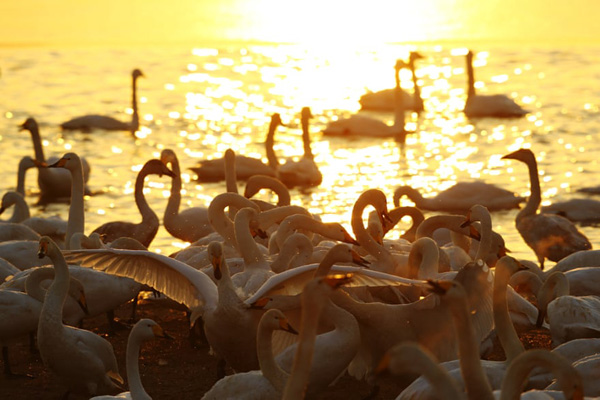 ماساژ پا بعد از مسدود کردن جاده ها / سرگرم کردن کودکان بیمارستان ها (تصاویر) ماساژ پا بعد از مسدود کردن جاده ها / سرگرم کردن کودکان بیمارستان ها (تصاویر)