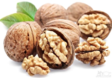 عاشق گردو باز