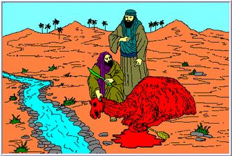 ماجراي شتر صالح (ع)