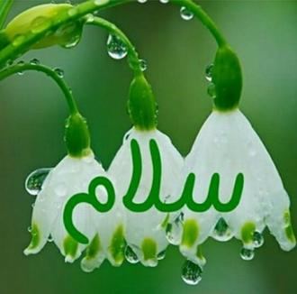 سلام و تحیت در قرآن سلام و تحیت در قرآن