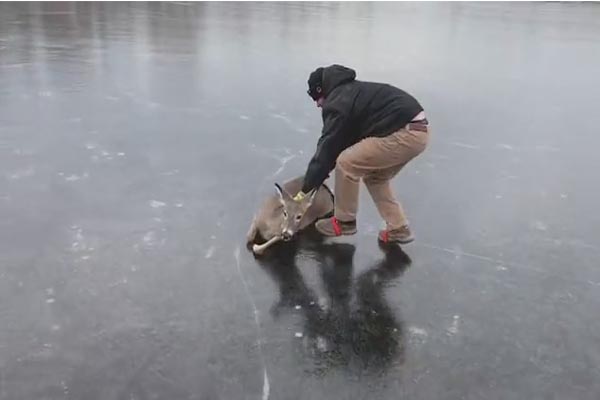 باز هم طوفان در بریتانیا /  نوزادی با بیماری کرونا  (تصاویر) باز هم طوفان در بریتانیا /  نوزادی با بیماری کرونا  (تصاویر)