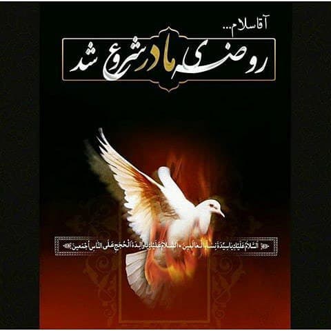 اشعار شهادت حضرت زهرا ۹۹ + تصاویر گرافیکی اشعار شهادت حضرت زهرا ۹۹ + تصاویر گرافیکی