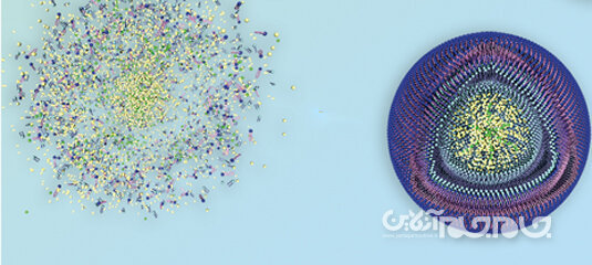 نانو ذرات مملو از دارو فقط سلول‌های سرطانی را هدف قرار می‌دهد+عکس