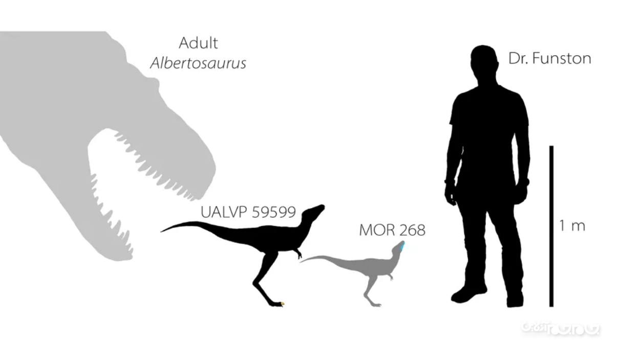 ۱۰ کشف جالب دانشمندان درباره دایناسورها در سال ۲۰۲۰+عکس