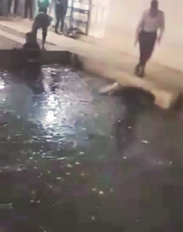 قرنطینه رویایی