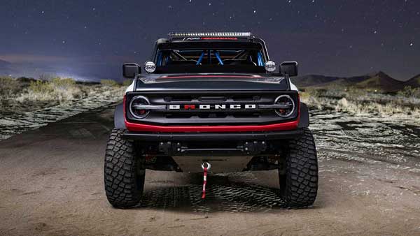 روباهِ صحرا! (+تصاویر)