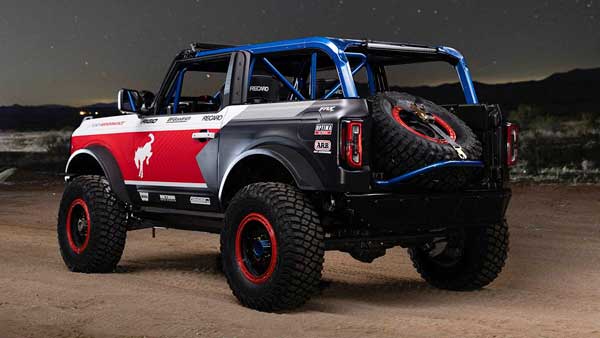 روباهِ صحرا! (+تصاویر)