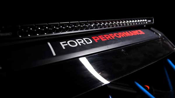 روباهِ صحرا! (+تصاویر)