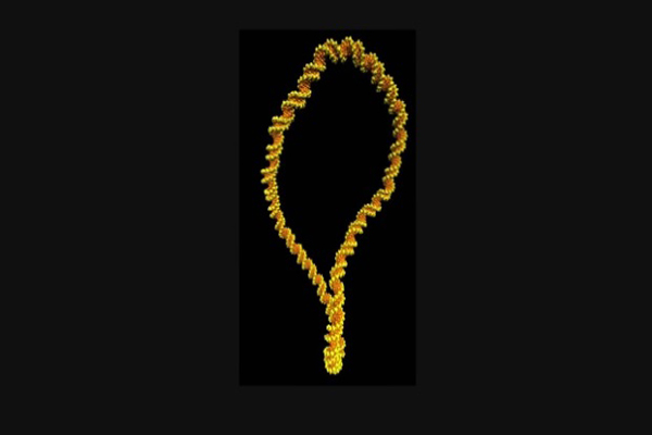 واضح ترین تصویر ممکن از DNA  ثبت شد (تصاویر)