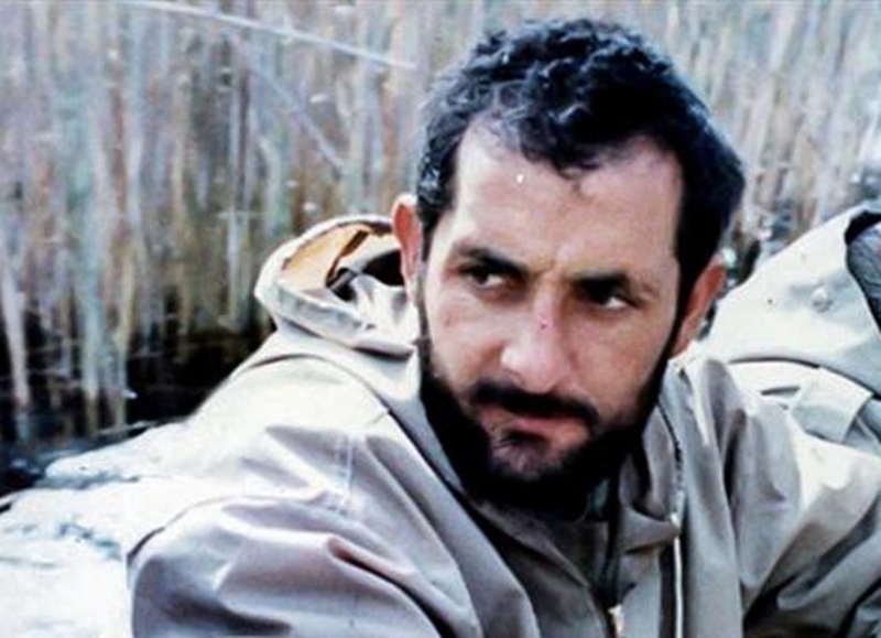 سروهای سر به زیر