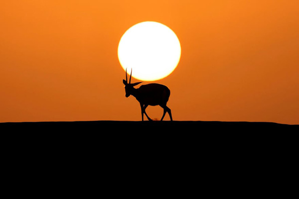 تصاویر برگزیده 24 ساعت اخیر (گزارش تصویری)