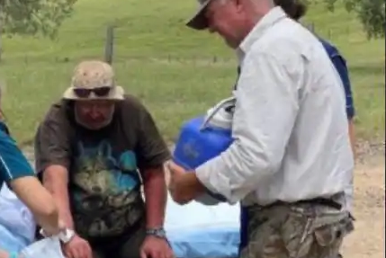 قارچ های وحشی زندگی مرد مفقود شده را نجات دادند!