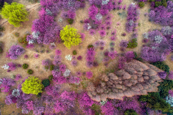 عبور از میان سیم خاردارها برای رسیدن به محل کار (گزارش تصویری)