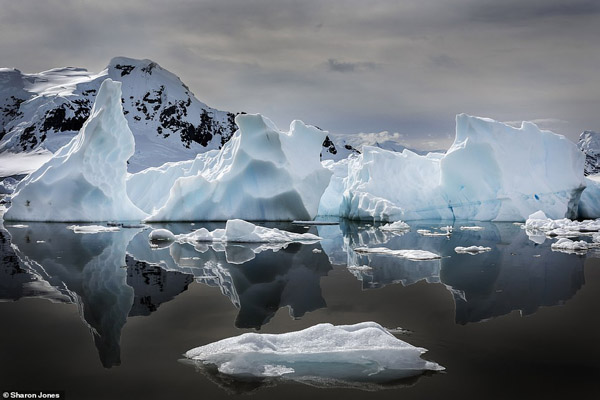 عکس های برگزیده زیست محیطی (گزارش تصویری)