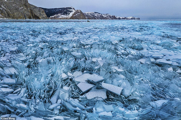 عکس های برگزیده زیست محیطی (گزارش تصویری)