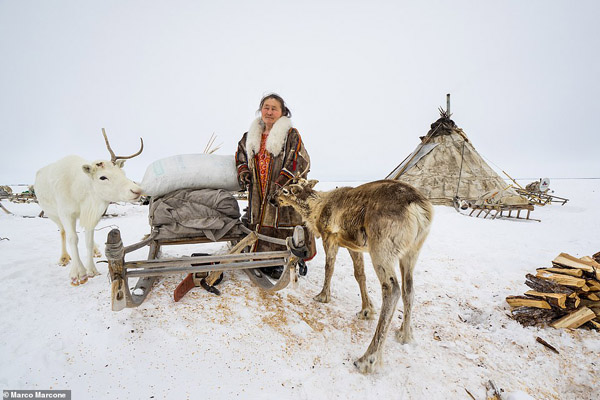 عکس های برگزیده زیست محیطی (گزارش تصویری)
