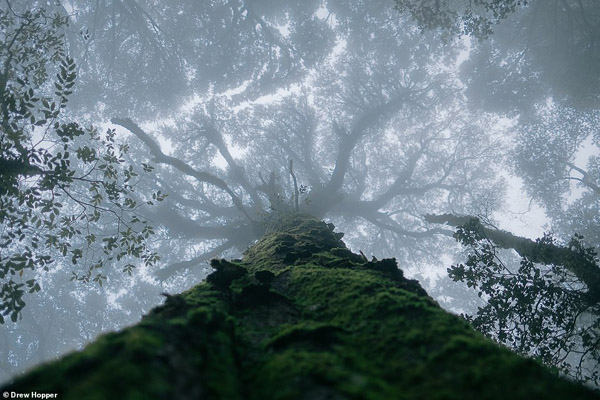 عکس های برگزیده زیست محیطی (گزارش تصویری)