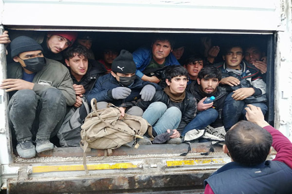 پرنده 70 ساله باز هم تخم گذاشت (گزارش تصویری)