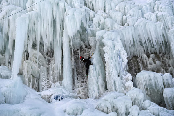پرنده 70 ساله باز هم تخم گذاشت (گزارش تصویری)