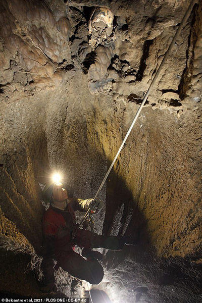 پرنده 70 ساله باز هم تخم گذاشت (گزارش تصویری)