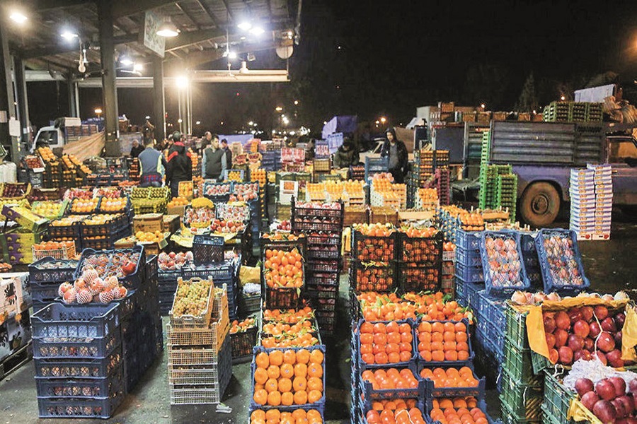 میوه‌هایی که فقط دلالان می‌چینند