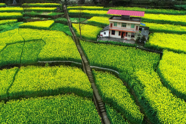 جهان در 24 ساعت اخیر (گزارش تصویری) جهان در 24 ساعت اخیر (گزارش تصویری)