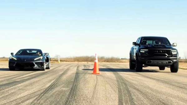 نبرد دایناسور و سفره‌ ماهی! (+فیلم و عکس)