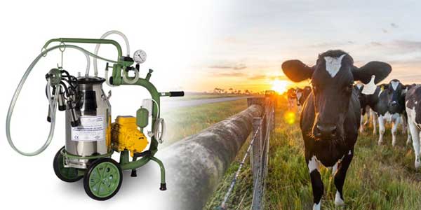 اهمیت شیردوشی دام با دستگاه های تمام اتوماتیک