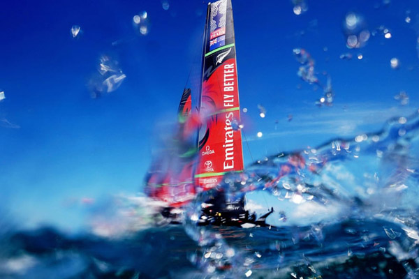 یک زنبور سبز و غول پیکر / مسابقه گاو سواری! (گزارش تصویری)