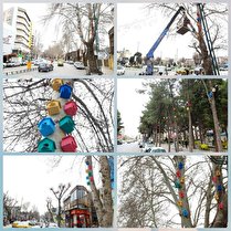 نصب یکصد لانه پرنده در سطح شهر