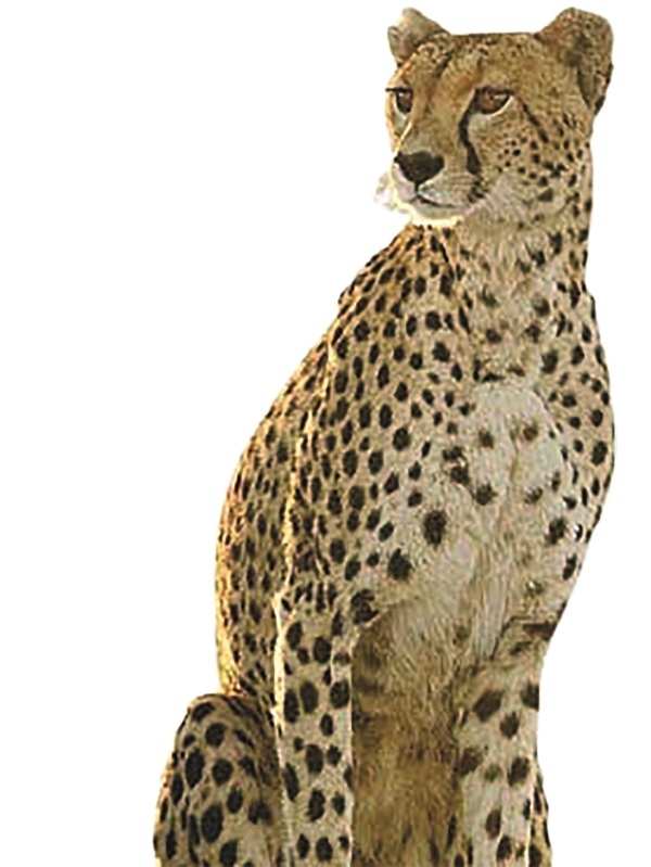 آنچه گذشت در یک نگاه