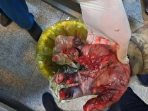 ۱۱۶ مصدوم چهارشنبه سوری تا ساعت ۸ صبح امروز