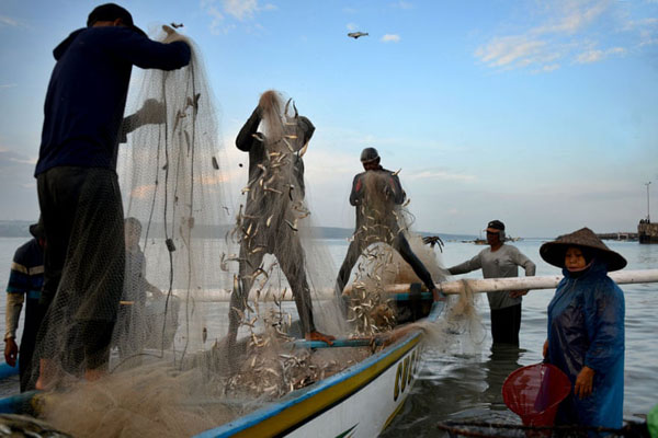 حمله ملخ ها به کشاورزان / تماشای فوتبال در اوج کرونا (گزارش تصویری) حمله ملخ ها به کشاورزان / تماشای فوتبال در اوج کرونا (گزارش تصویری)