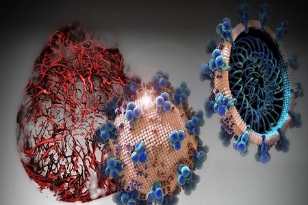 33 جهش در ویروس کرونا کشف شد