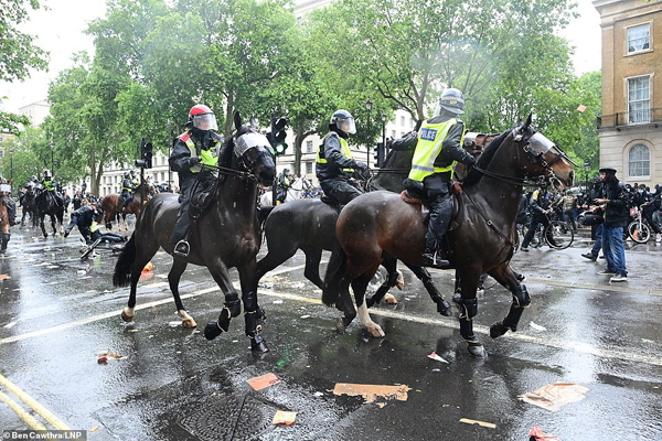 مقابله با شورش معترضان به وسیله احشام و در حضور مدونا (تصاویر) مقابله با شورش معترضان به وسیله احشام و در حضور مدونا (تصاویر)