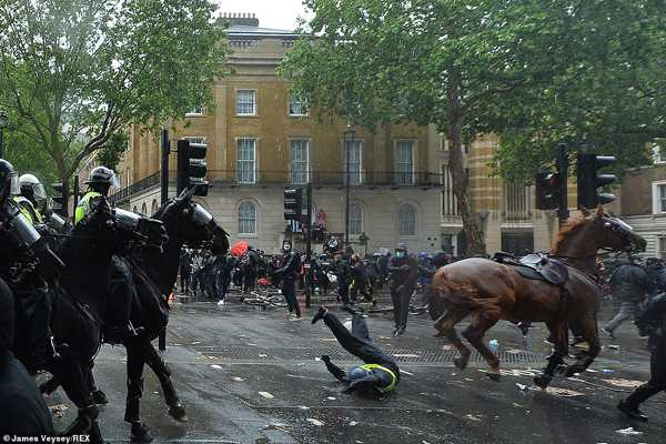 مقابله با شورش معترضان به وسیله احشام و در حضور مدونا (تصاویر) مقابله با شورش معترضان به وسیله احشام و در حضور مدونا (تصاویر)