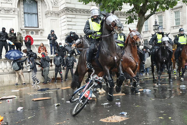 مقابله با شورش معترضان به وسیله احشام و در حضور مدونا (تصاویر) مقابله با شورش معترضان به وسیله احشام و در حضور مدونا (تصاویر)