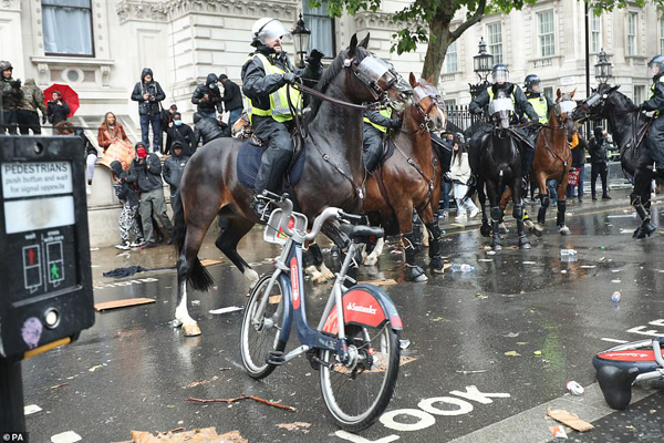 مقابله با شورش معترضان به وسیله احشام و در حضور مدونا (تصاویر) مقابله با شورش معترضان به وسیله احشام و در حضور مدونا (تصاویر)