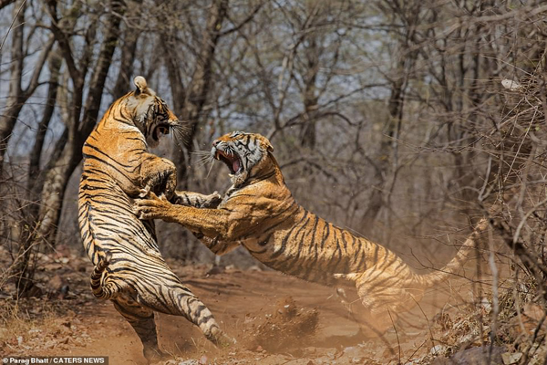 عکس و مکث؛ از دعوای مادر و دختری تا ملخی با ماسک