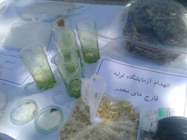 «قارچ سمی» کشف جدید پلیس(+ عکس) «قارچ سمی» کشف جدید پلیس(+ عکس)