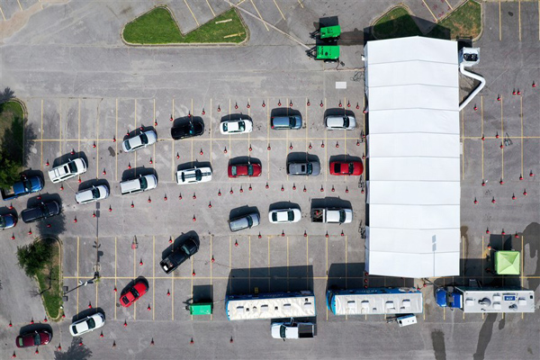 دور دنیا در قاب تصاویر؛ داستان یک خرس مشهور و سیاه